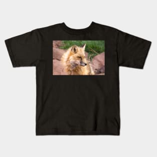 Young fox. Kids T-Shirt